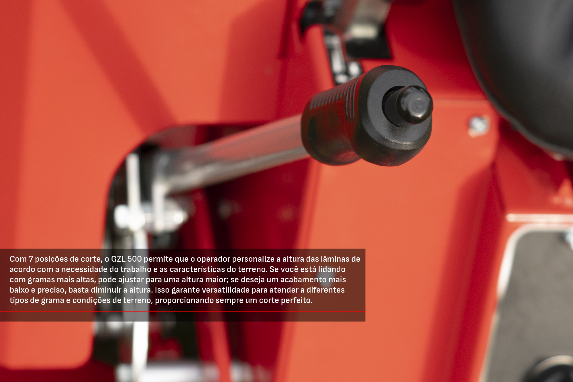 Kawashima - Cód. 5649330